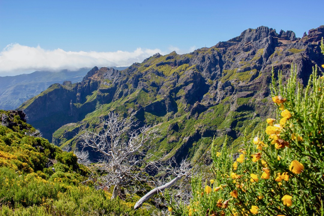Madeira hory